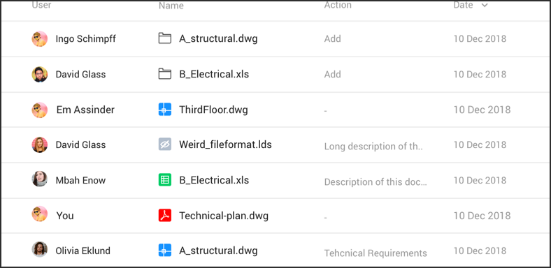 Detailed Audit Reports